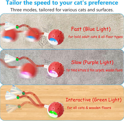 2PCS Interactive Cat Toys for Indoor Cats with 6 Tails, Automatic Cat Toy
