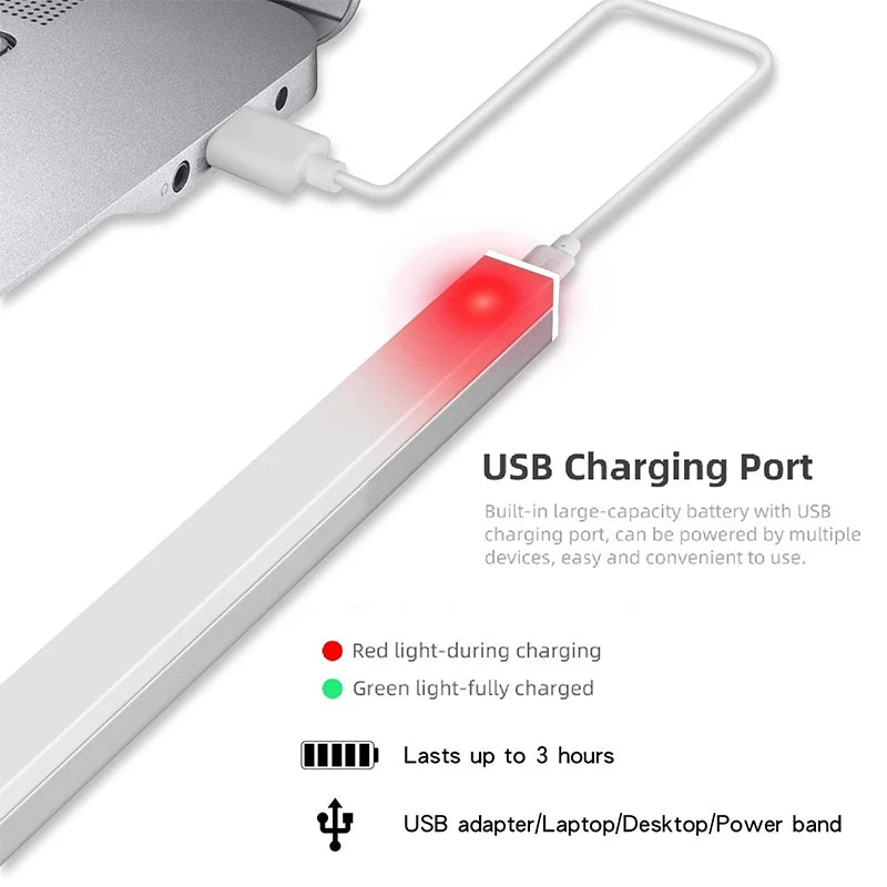 Motion sensor LED light