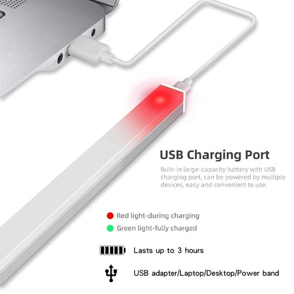 Motion sensor LED light